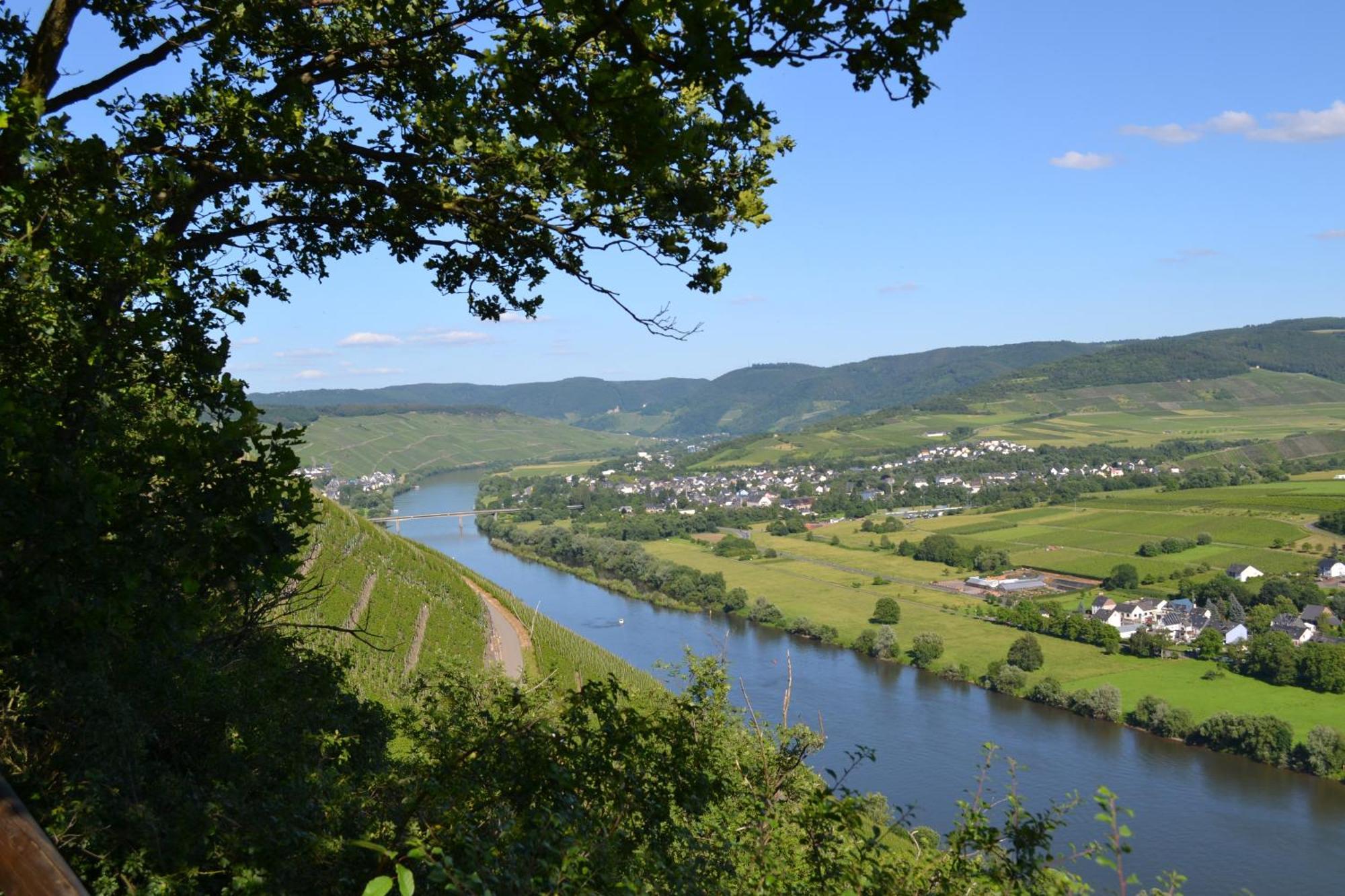 Weingut Mathy-Schanz Osann-Monzel Zewnętrze zdjęcie