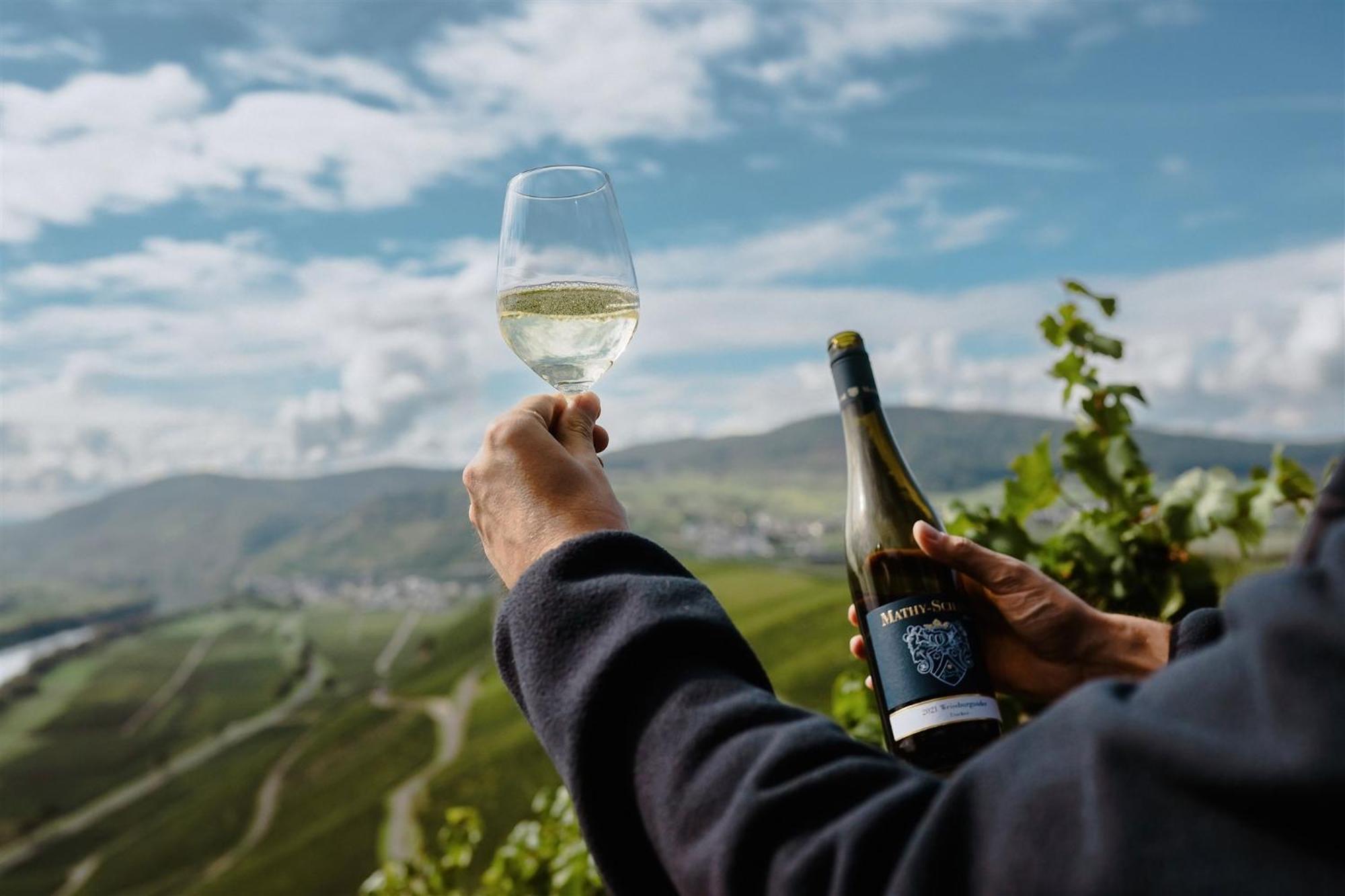 Weingut Mathy-Schanz Osann-Monzel Zewnętrze zdjęcie