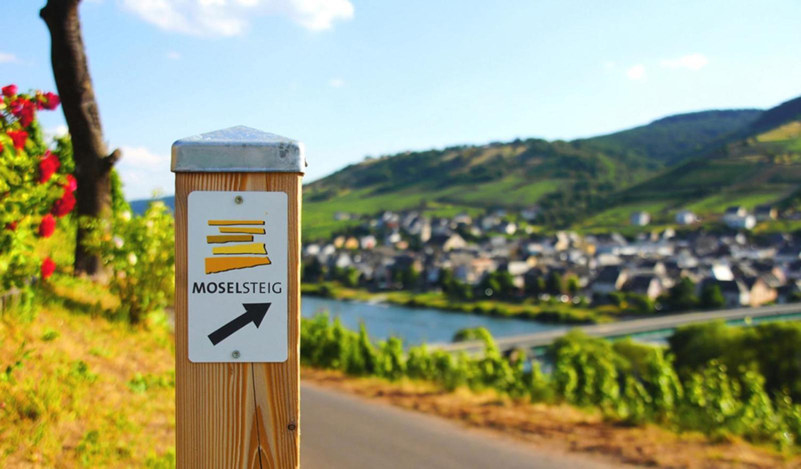 Weingut Mathy-Schanz Osann-Monzel Zewnętrze zdjęcie