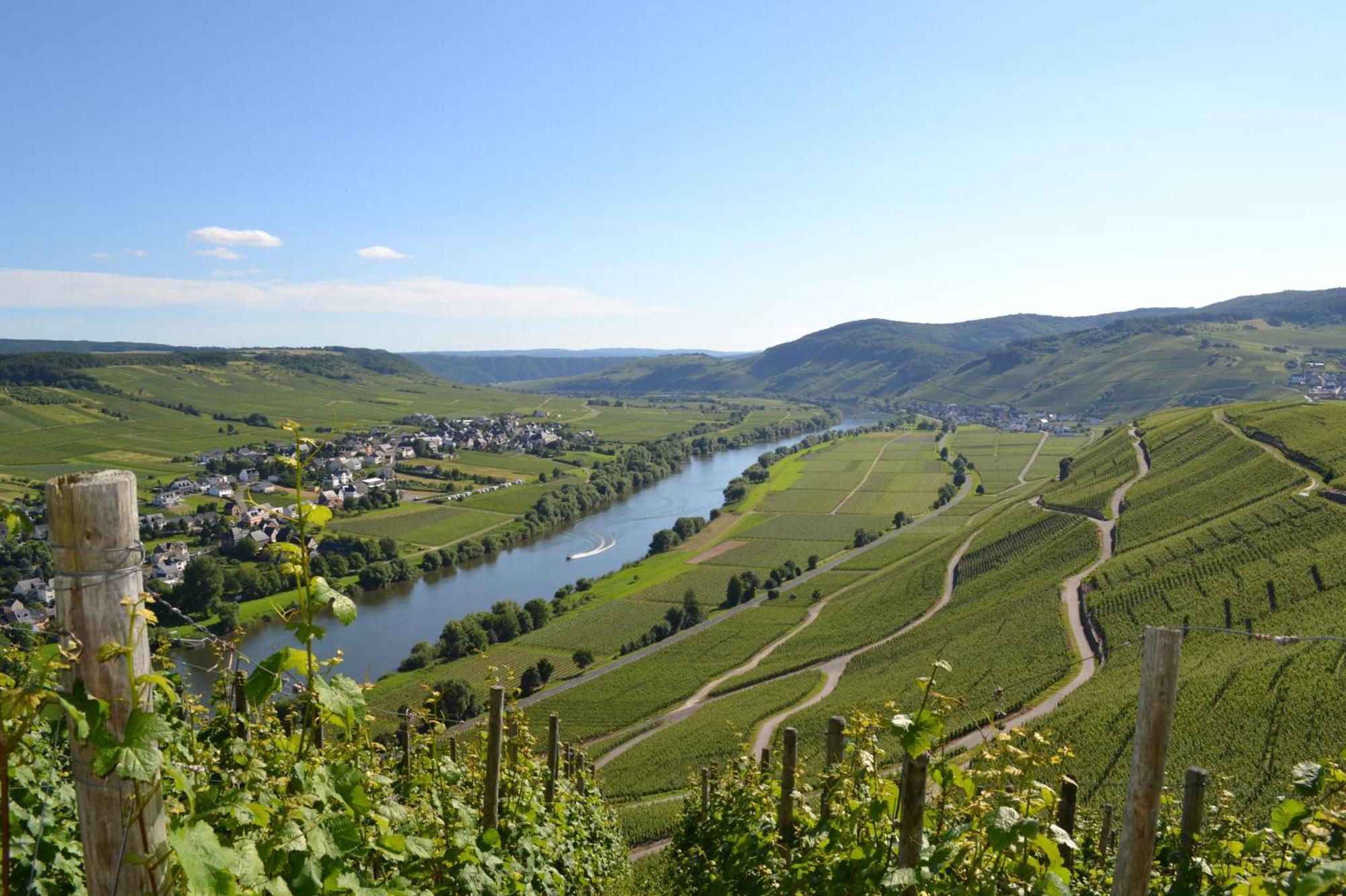 Weingut Mathy-Schanz Osann-Monzel Zewnętrze zdjęcie