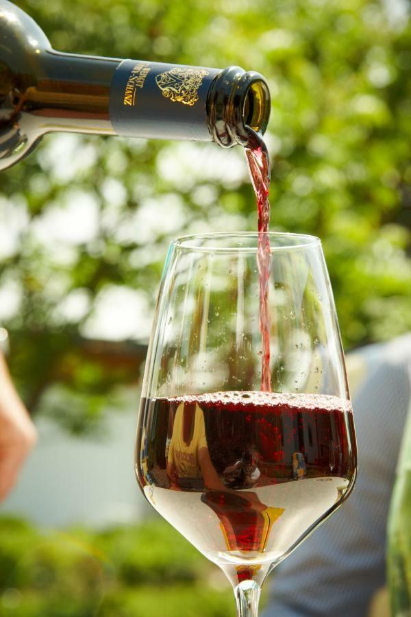 Weingut Mathy-Schanz Osann-Monzel Zewnętrze zdjęcie